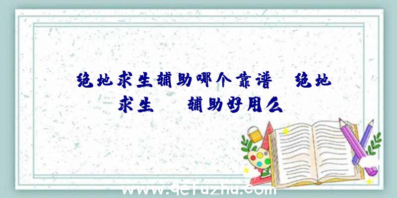 「绝地求生辅助哪个靠谱」|绝地求生asm辅助好用么